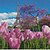 Фото Strateg Алмазная мозаика Весенние тюльпаны в Париже (CA-0055)