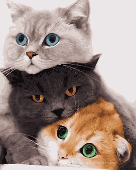 Фото Artissimo Три кота (PNX4201)