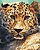 Фото Brushme Портрет леопарда (BS51736)