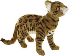 Фото Hansa Бенгальский коричневый кот (6354)