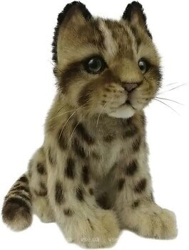 Фото Hansa Котенок леопарда Шиху (7739)