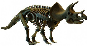 Фото Dino Horizons Трицератопс скелет (D502)