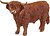 Фото Schleich-s Хайлендский бык (13919)