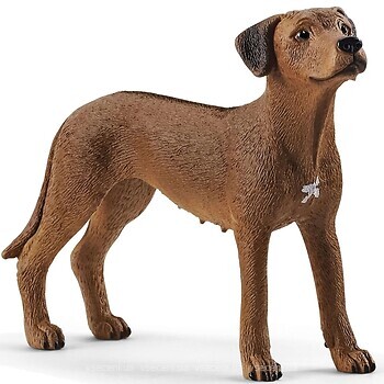 Фото Schleich-s Родезийский риджбек (13895)