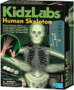 Фото 4M KidzLabs Светящийся скелет человека (00-03375)