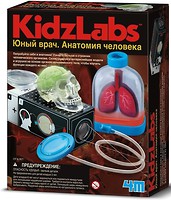 Фото 4M KidzLabs Человеческие органы (00-03374)