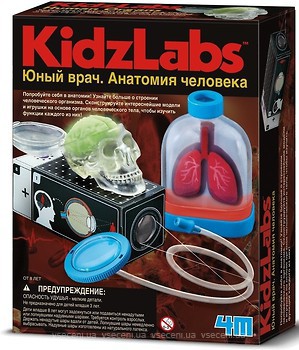 Фото 4M KidzLabs Человеческие органы (00-03374)