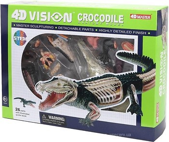 Фото 4D Master Крокодил Анатомия животных (FM-622034)