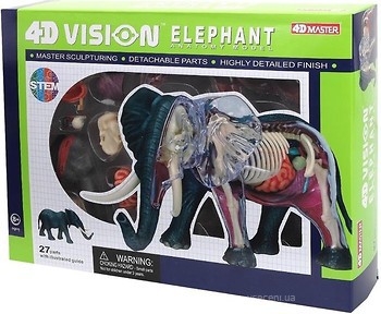 Фото 4D Master Слон Анатомия животных (FM-622037)