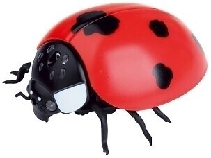 Фото Best Fun Toys Ladybug (6337205)