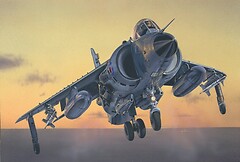 Фото Italeri FRS.1 Sea Harrier (IT1236)