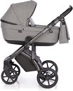 Фото ROAN 2 в 1 Bloom Titanium