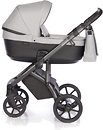 Фото ROAN 2 в 1 Bloom Silver Chevron