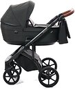 Фото ROAN 2 в 1 Bloom Black Stripes