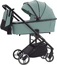 Фото Carrello 2 в 1 Alfa Parrot Green (CRL-6507)