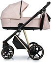Фото ROAN 2 в 1 Ivi Candy Gold (R-I-CY)