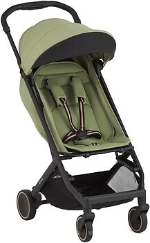 Фото Anex прогулочная Air-X2 Vert (Ax2-03)