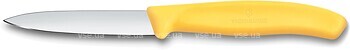 Фото Victorinox Swiss Classic Paring (6.7608.C1)