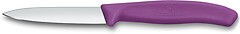 Фото Victorinox Swiss Classic Paring (6.7605.C1)