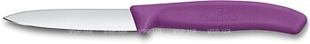Фото Victorinox Swiss Classic Paring (6.7605.C1)