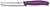 Фото Victorinox Swiss Classic (67835.C1)