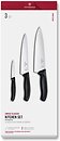 Фото Victorinox Swiss Classic (6.7133.3G)