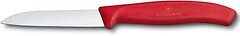 Фото Victorinox Swiss Classic (67401.C1)
