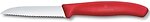 Фото Victorinox Swiss Classic (67431.C1)