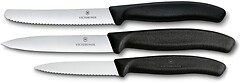 Фото Victorinox Swiss Classic (6.7113.34)