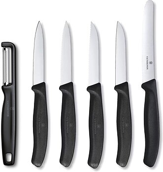 Фото Victorinox Swiss Classic (6.7113.61G)
