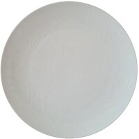 Фото Astera Tropical White (A0670-TW001)