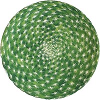 Фото Taitu Cactus тарелка для салата (5-5-1)
