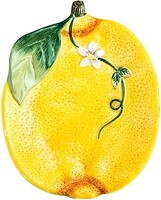 Фото Certified International Спелый лимон (23135) 4 шт