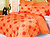 Фото Le Vele Roxy Orange двуспальный Евро