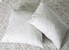 Фото Ecotton Стеганая в бязи 50x70 (20-0709)