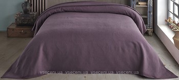 Фото Diva Sofiya Purple 240x260