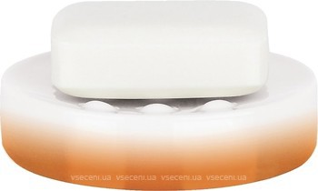 Фото Spirella настольная Tube-Gradient (10.17958)