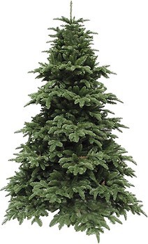 Фото TriumphTree Deluxe Slim Abies Nordmann 2.15 м (389517)