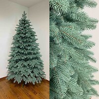 Фото Eler Ель Смерека зеленая, голубая 2.5 м
