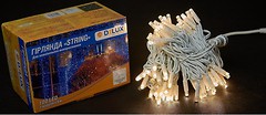 Фото Delux String 100 LED 2x5 м белый/белый IP44 EN (90016596)
