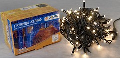 Фото Delux String 100 LED 2x5 м черный/белый IP44 EN (90016597)