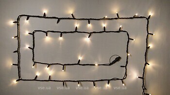 Фото Delux String 100 LED 2x5 м черный/теплый белый flash IP44 EN (90020903)