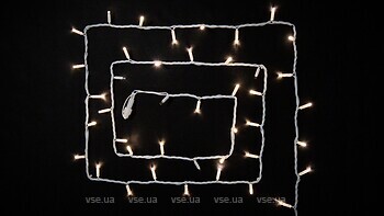 Фото Delux String 100 LED 2x5 м белый/теплый белый IP44 EN (90020904)
