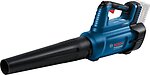 Фото Bosch GBL 18V-750 Professional (без АКБ и ЗУ) (06008D2000)