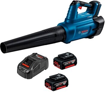 Фото Bosch GBL 18V-750 Professional (2 АКБ 5 Ач и ЗУ)