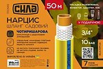 Фото Сила Нарцис 19 (3/4