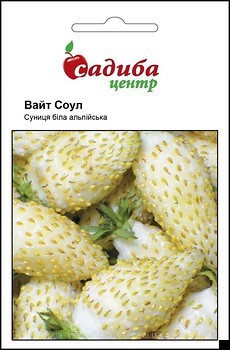 Фото Садиба центр земляника Вайт Соул (Hem Zaden) 0.1 г