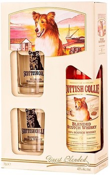 Фото Scottish Collie Blended Scotch Whisky 0.7 л в подарочной коробке с 2 стаканами
