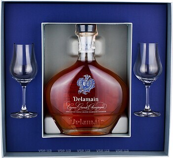 Фото Delamain Cognac Grande Champagne AOC Extra Gift Box + 2 glasses 0.7 л в подарочной упаковке