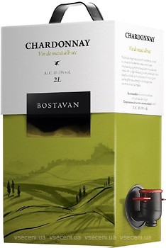 Фото Bostavan Chardonnay Demidulce белое сухое 2 л